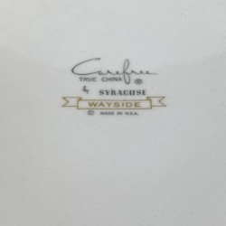 Set of syracuse china wayside coupe dinner plate, syracuse carefree true china, mid century coupe syracuse china restaurant ware